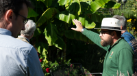 Ǻ Head Gardener in a white hat explaining features of green plants to visitors in an outdoor setting.